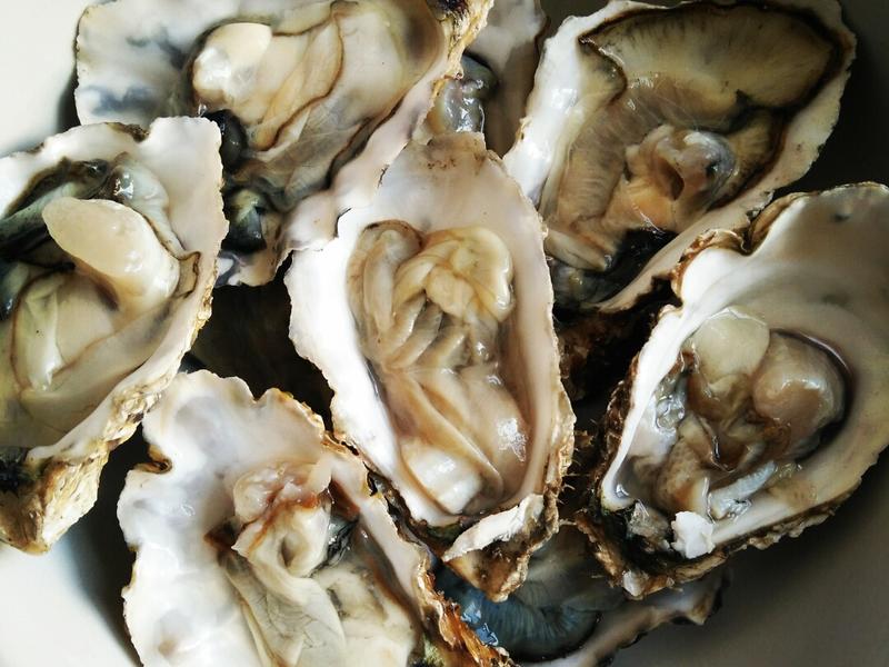 脆皮豆腐干的做法大全：解锁家常美食的魅力