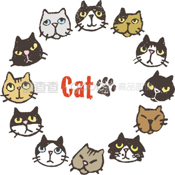 猫后腿脱臼是什么原因？揭开宠物护理的秘密